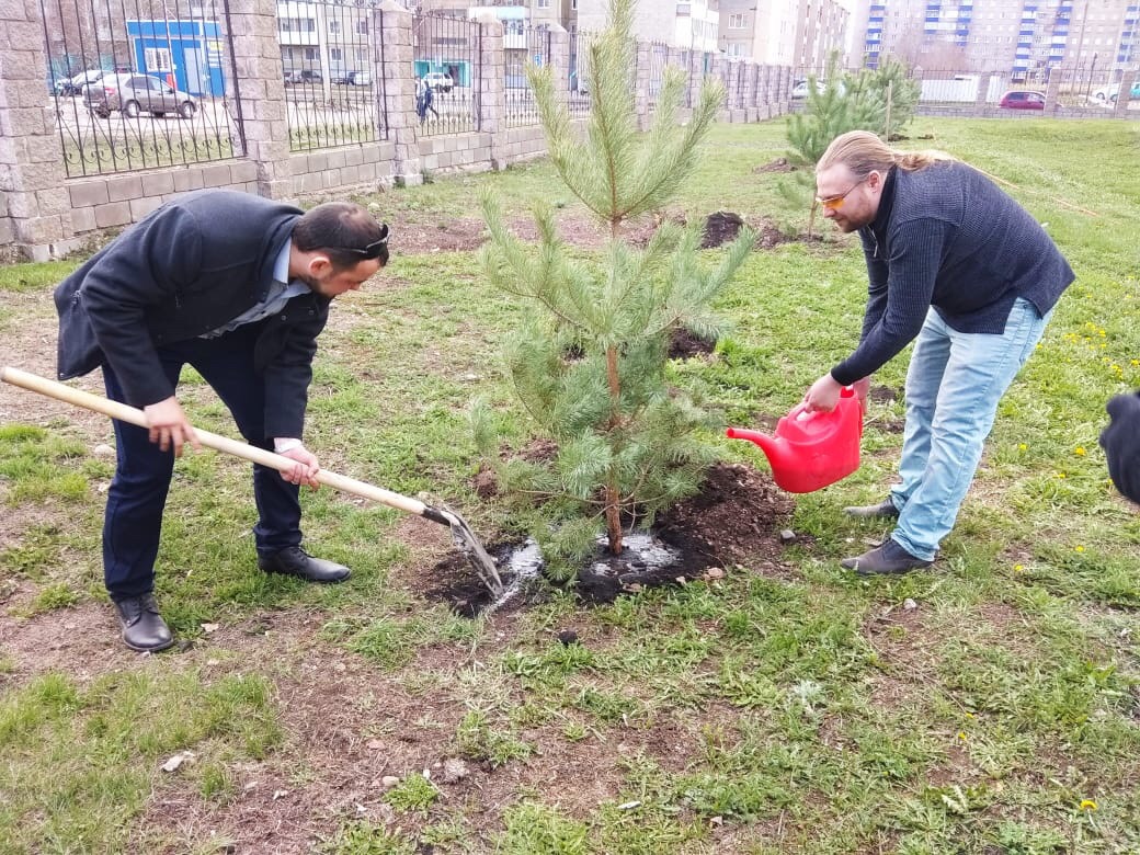 Подворье Интернет Магазин Саженцев Каталог